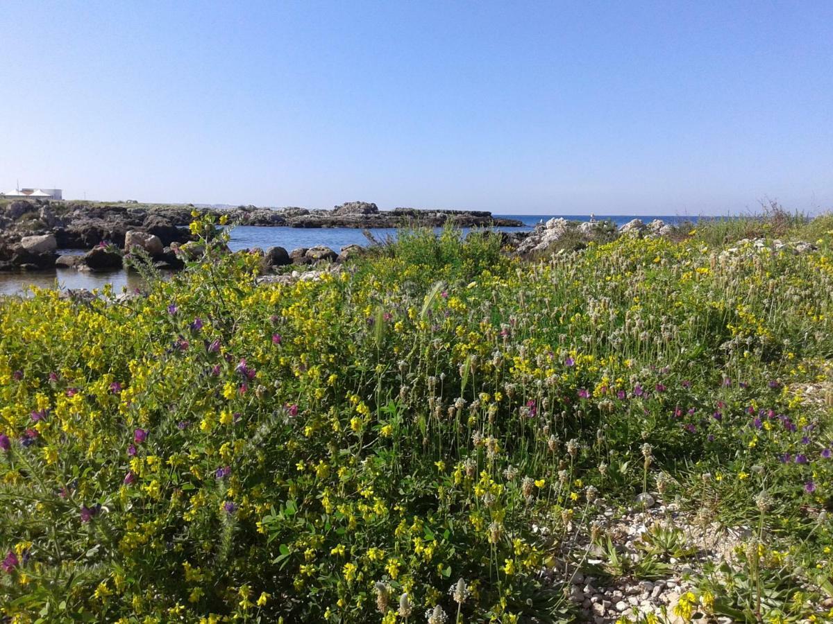 La Porta Di Mare B&B Нардо Экстерьер фото
